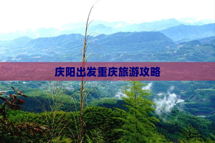 庆阳到重庆自由团