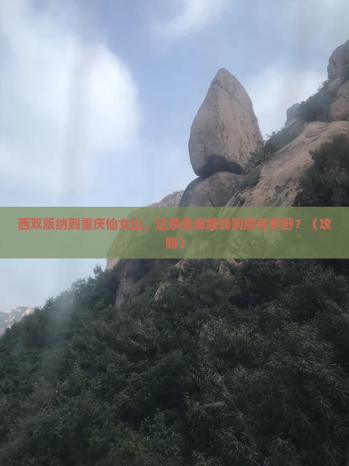 西双版纳到重庆仙女山旅游小吃