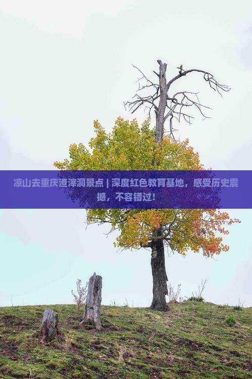 凉山去重庆渣滓洞景点