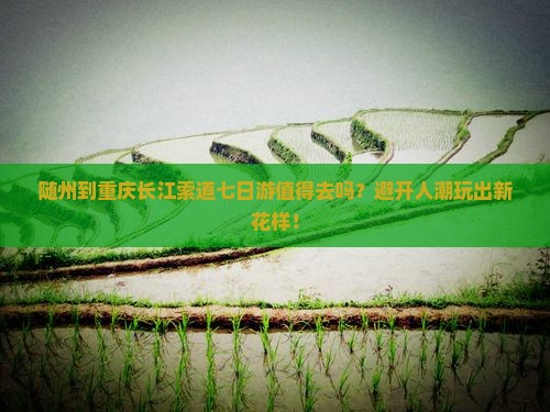 随州到重庆长江索道七日游