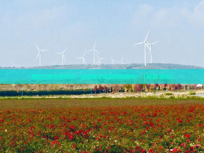 楚雄到重庆景点 楚雄到重庆景点