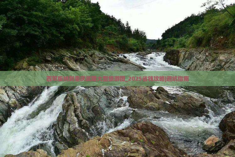 西双版纳到重庆武隆大型旅游团