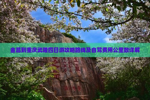 金昌到重庆武隆四日游