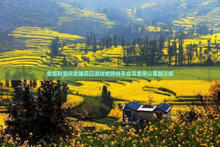 金昌到重庆武隆四日游