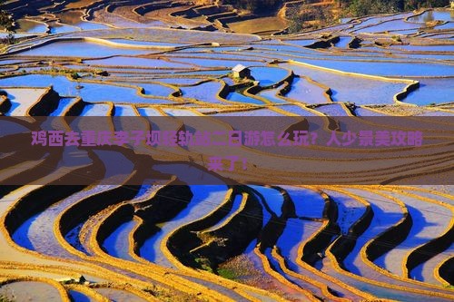 鸡西去重庆李子坝轻轨站二日游