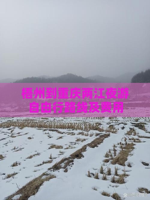 梧州到重庆两江夜游自由行
