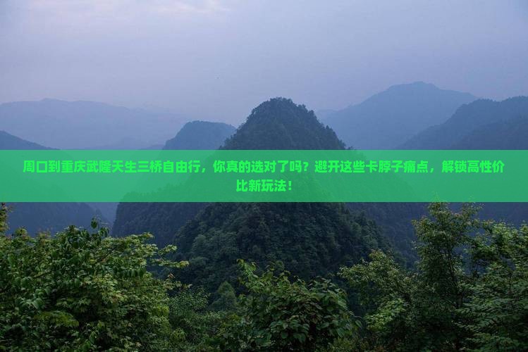 周口到重庆武隆天生三桥自由行