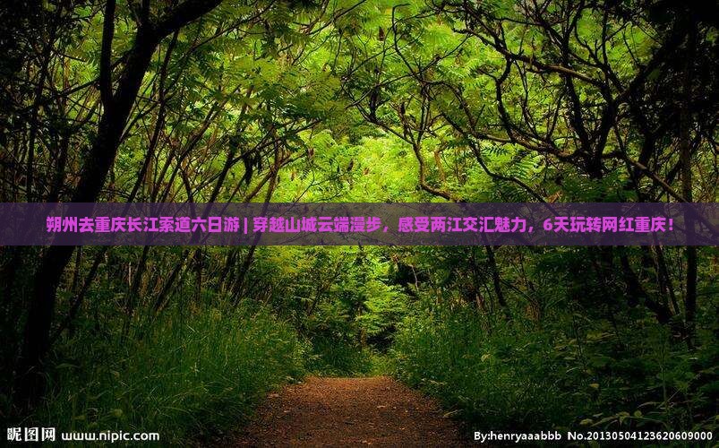 朔州去重庆长江索道六日游