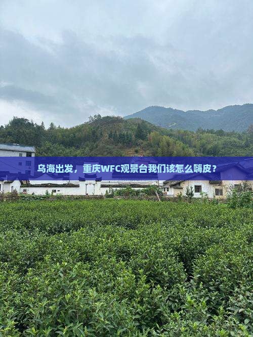 乌海市到重庆wfc观景台哪里玩