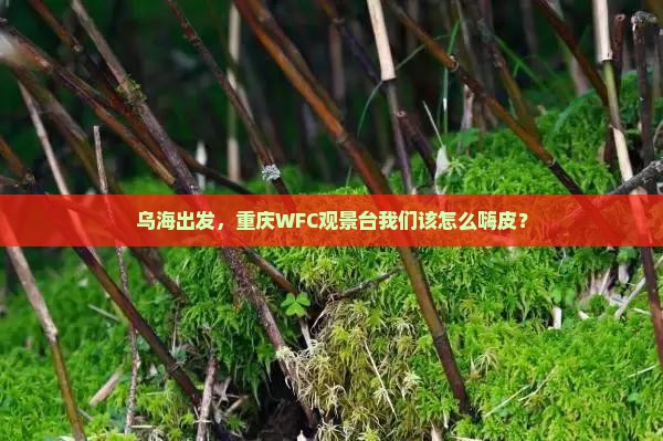 乌海市到重庆wfc观景台哪里玩