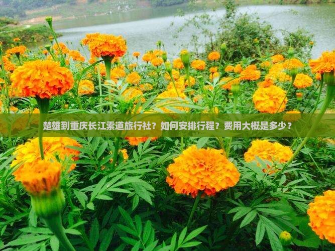 楚雄到重庆长江索道旅行社