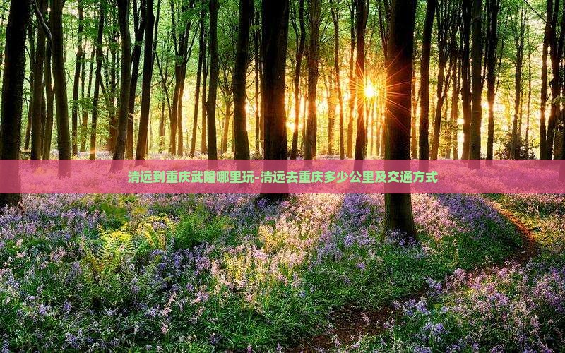 清远到重庆武隆哪里玩
