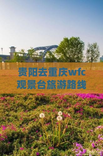 贵阳去重庆wfc观景台旅游
