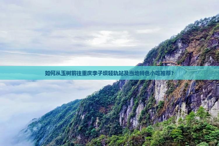 玉树到重庆李子坝轻轨站旅游小吃