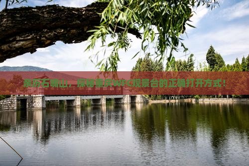 石嘴山到重庆wfc观景台攻略