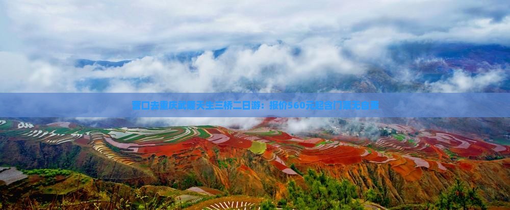 营口去重庆武隆天生三桥二日游
