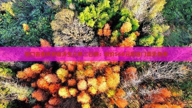 营口去重庆武隆天生三桥二日游