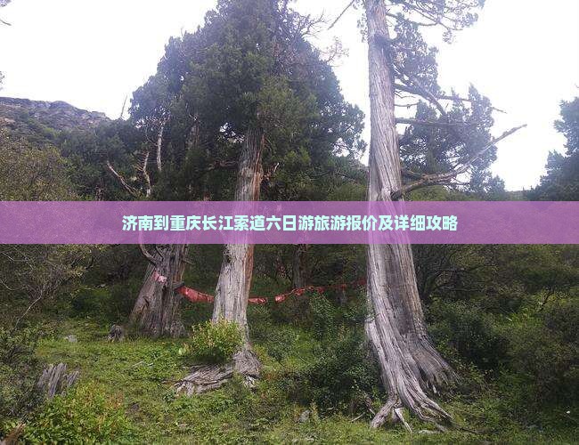 济南到重庆长江索道六日游