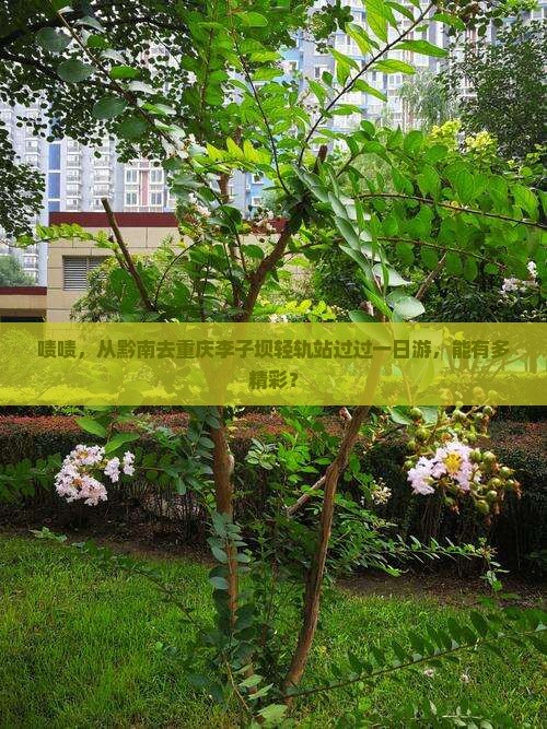 黔南到重庆李子坝轻轨站一日