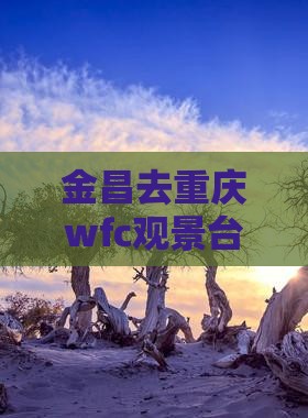 金昌去重庆wfc观景台旅游