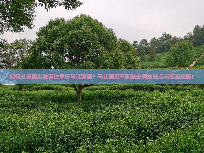 洛阳去重庆乌江画廊景点