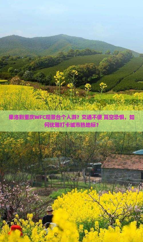 果洛到重庆wfc观景台个人游