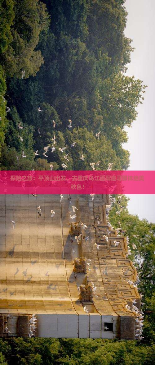 平顶山去重庆乌江画廊旅游 平顶山去重庆乌江画廊旅游