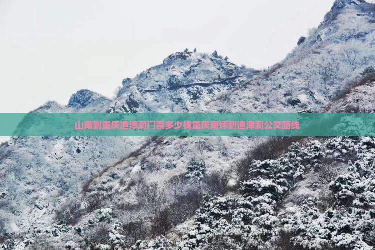 山南到重庆渣滓洞门票