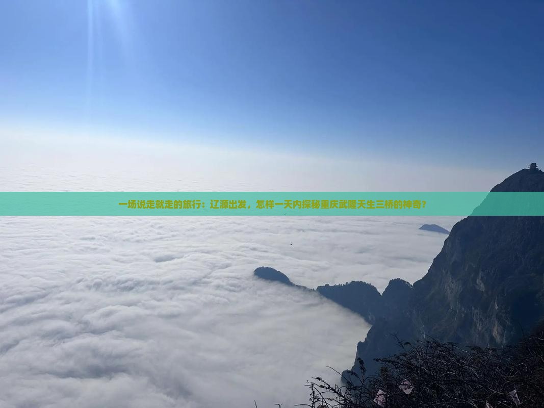 辽源到重庆武隆天生三桥一日