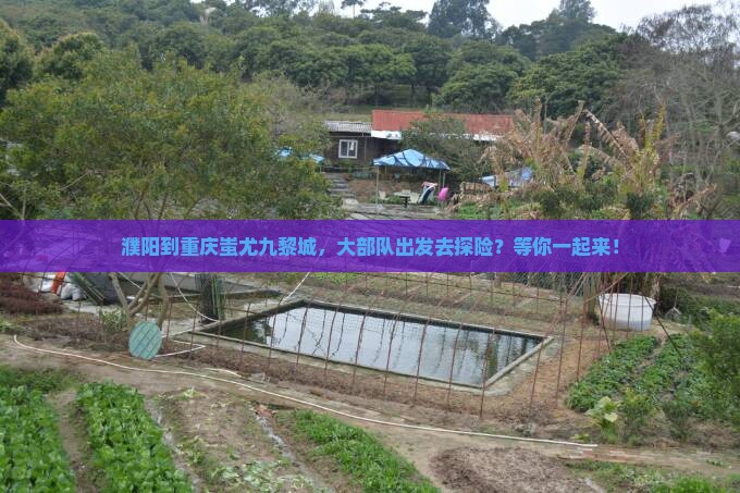 濮阳去重庆蚩尤九黎城大型旅游团