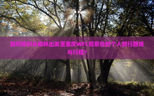 榆林到重庆wfc观景台个人游