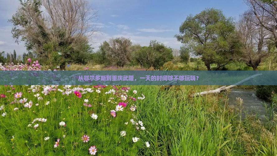 鄂尔多斯去重庆武隆一日