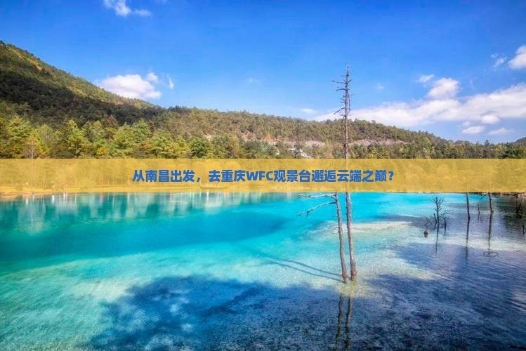 南昌到重庆wfc观景台自由团
