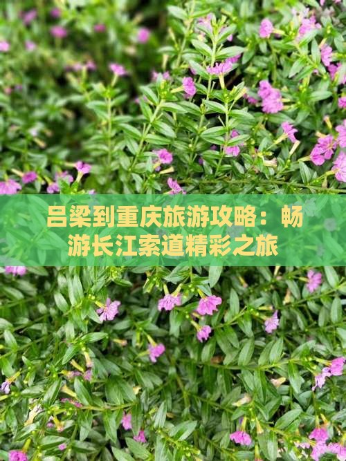 吕梁去重庆长江索道攻略