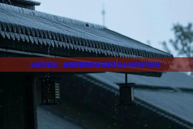 咸宁去重庆武隆天生三桥自由团