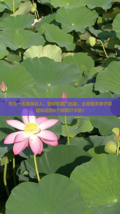 厦门到重庆李子坝轻轨站必去地
