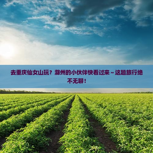 滁州去重庆仙女山旅游