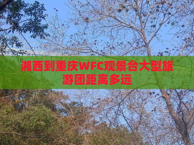 湘西到重庆wfc观景台大型旅游团