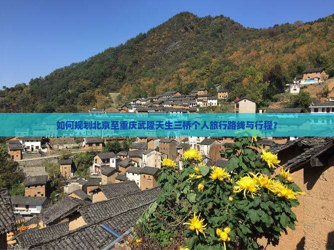 北京到重庆武隆天生三桥个人游