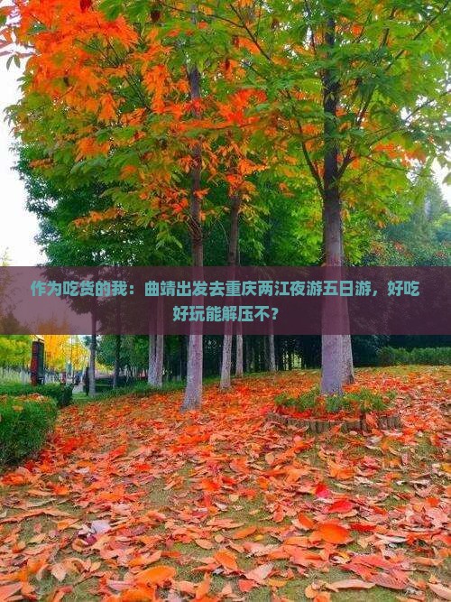 曲靖到重庆两江夜游五日游