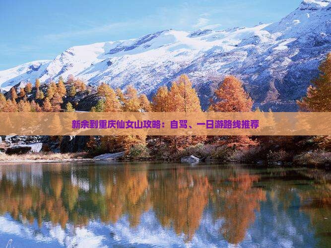 新余到重庆仙女山攻略