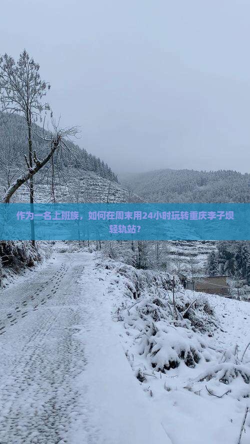 黑河去重庆李子坝轻轨站二日游