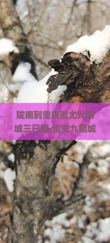 陇南到重庆蚩尤九黎城三日游