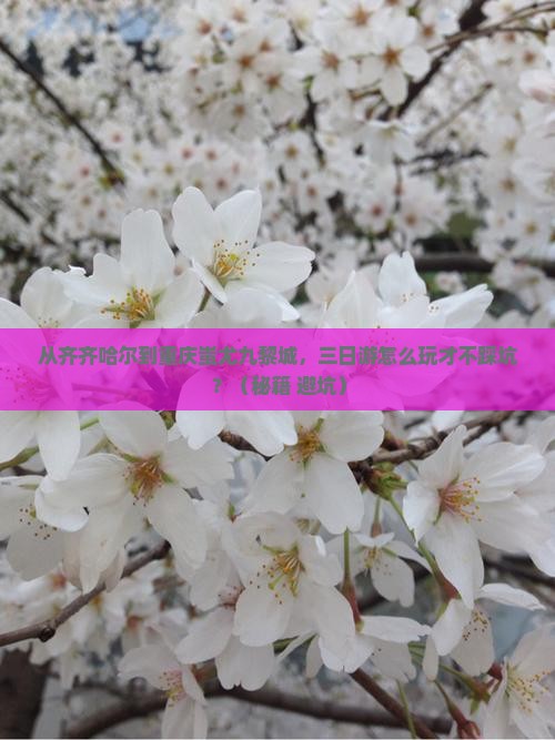 齐齐哈尔去重庆蚩尤九黎城三日游
