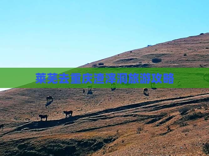 莱芜去重庆渣滓洞攻略