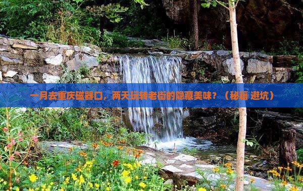 一月到重庆磁器口二日游