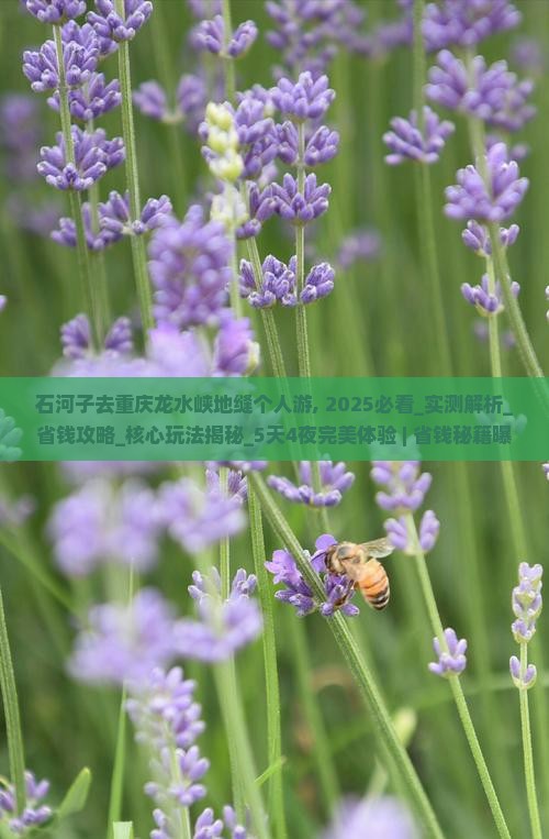石河子去重庆龙水峡地缝个人游