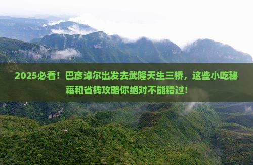 巴彦淖尔到重庆武隆天生三桥旅游小吃