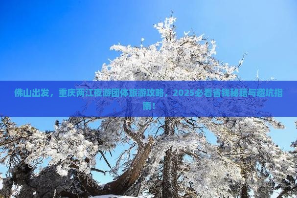 佛山到重庆两江夜游团体旅游