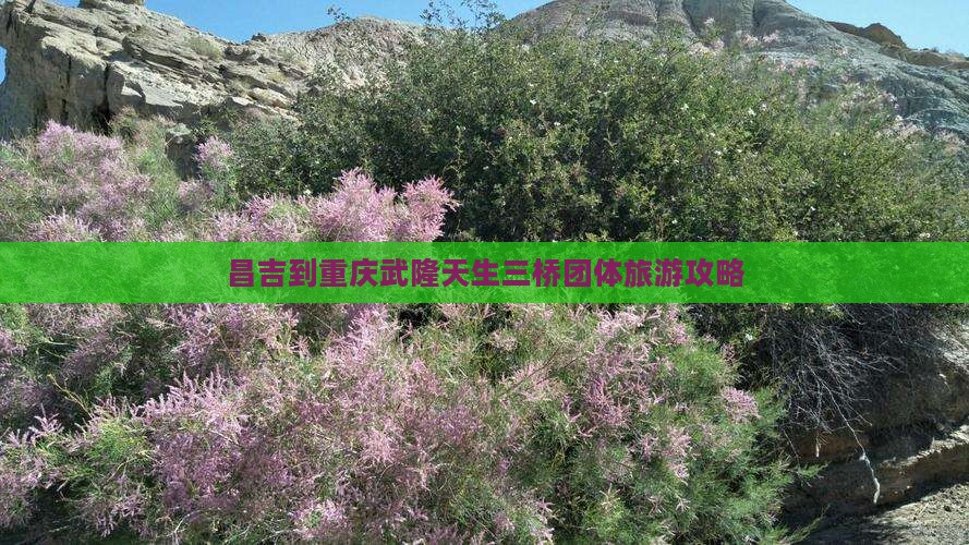 昌吉到重庆武隆天生三桥团体旅游